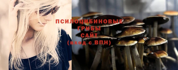 apvp Алексин