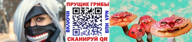 наркота  Дмитриев  Псилоцибиновые грибы Psilocybe 