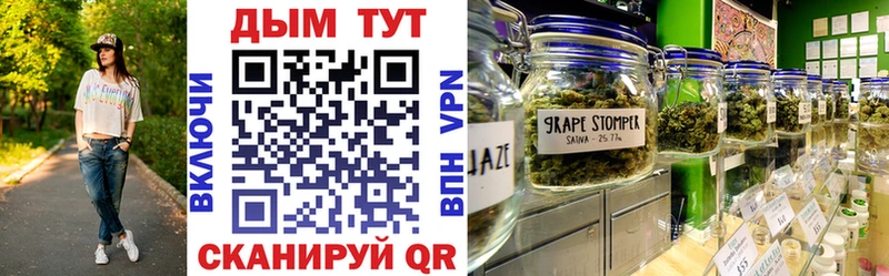 площадка клад  Дмитриев  Канабис VHQ 